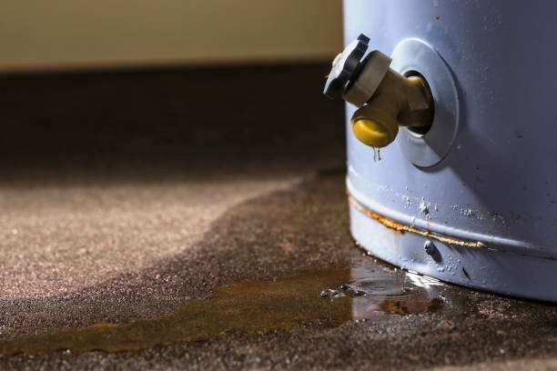 Reliable Cadiz, KY Water damage restoration Solutions