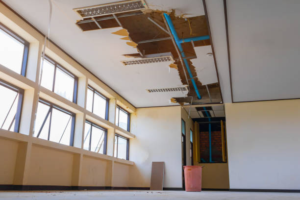 Best Sewage cleanup and water damage restoration  in Cadiz, KY
