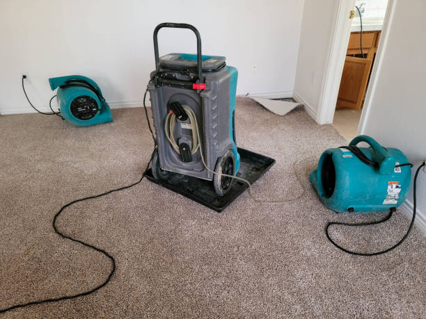 Best Flood restoration services  in Cadiz, KY