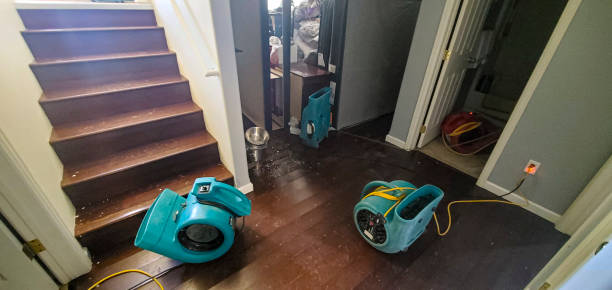 Best 24/7 water damage repair  in Cadiz, KY