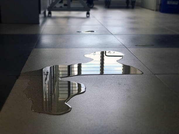 Best Professional water damage repair  in Cadiz, KY