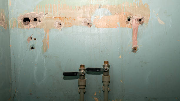 Best Local water damage restoration  in Cadiz, KY