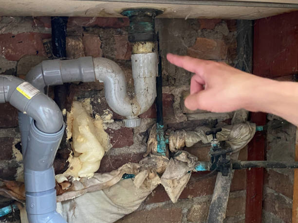 Best Water damage cleanup near me  in Cadiz, KY