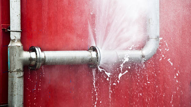 Best Water damage restoration near me  in Cadiz, KY