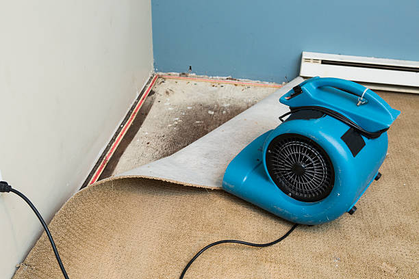 Best Fire Damage Restoration  in Cadiz, KY